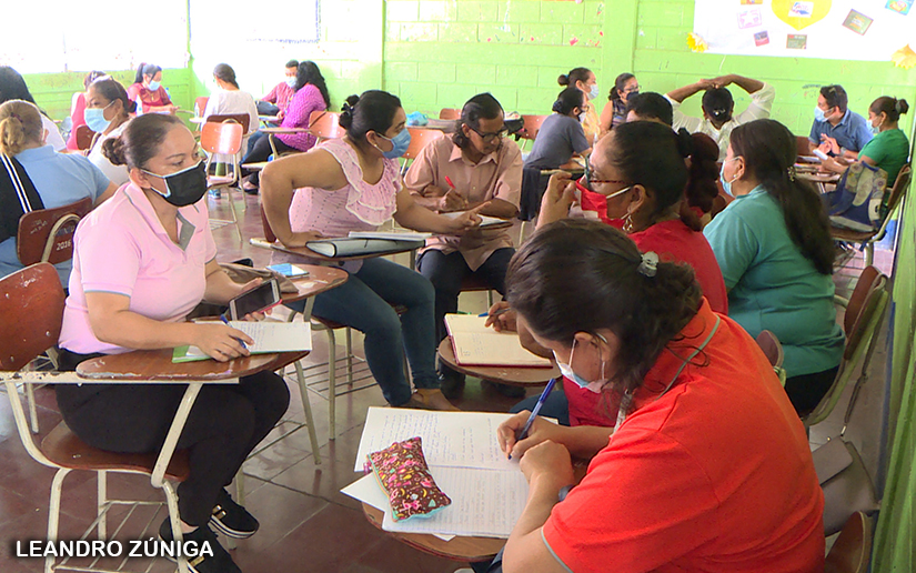 docentes